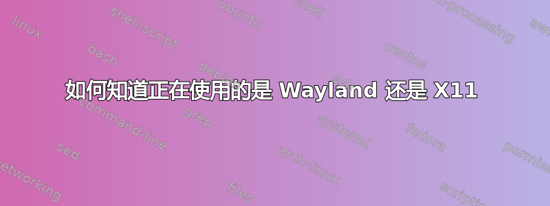 如何知道正在使用的是 Wayland 还是 X11