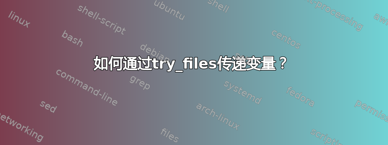 如何通过try_files传递变量？