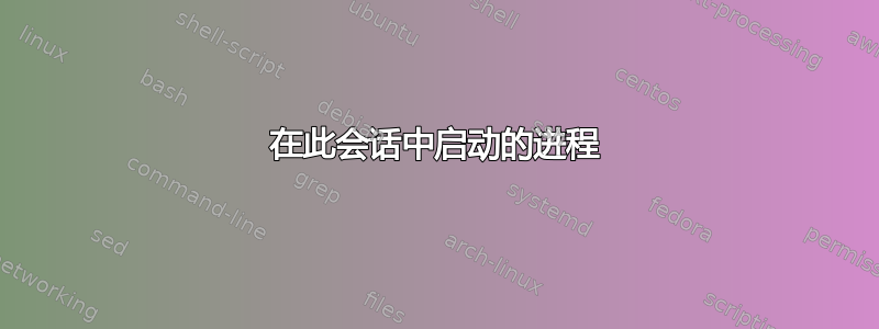 在此会话中启动的进程