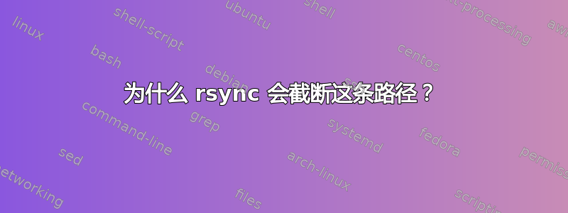 为什么 rsync 会截断这条路径？