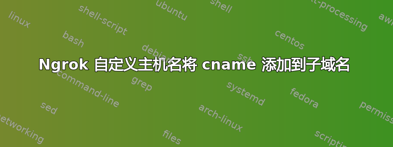 Ngrok 自定义主机名将 cname 添加到子域名