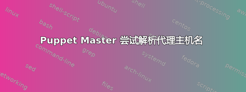 Puppet Master 尝试解析代理主机名