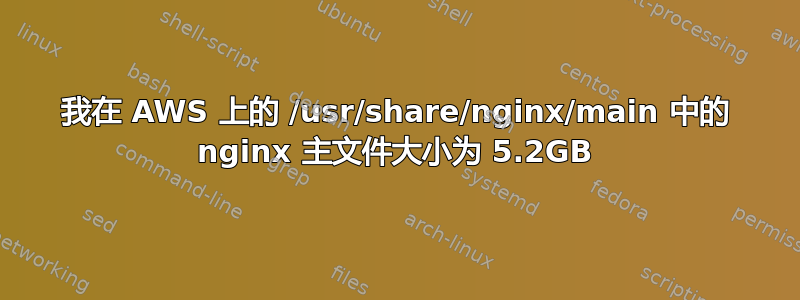 我在 AWS 上的 /usr/share/nginx/main 中的 nginx 主文件大小为 5.2GB