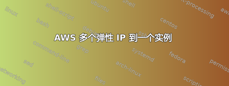 AWS 多个弹性 IP 到一个实例