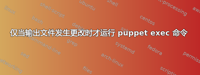 仅当输出文件发生更改时才运行 puppet exec 命令