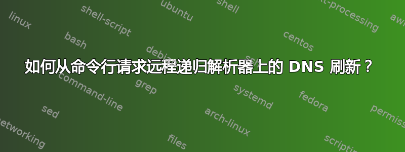 如何从命令行请求远程递归解析器上的 DNS 刷新？