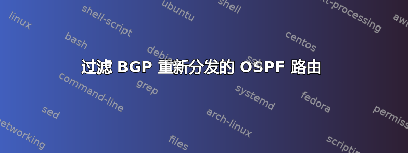 过滤 BGP 重新分发的 OSPF 路由