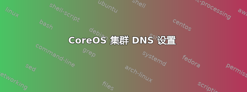 CoreOS 集群 DNS 设置