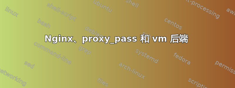 Nginx、proxy_pass 和 vm 后端