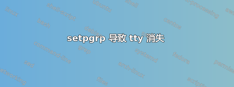 setpgrp 导致 tty 消失