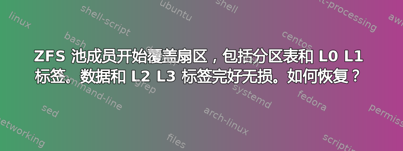 ZFS 池成员开始覆盖扇区，包括分区表和 L0 L1 标签。数据和 L2 L3 标签完好无损。如何恢复？