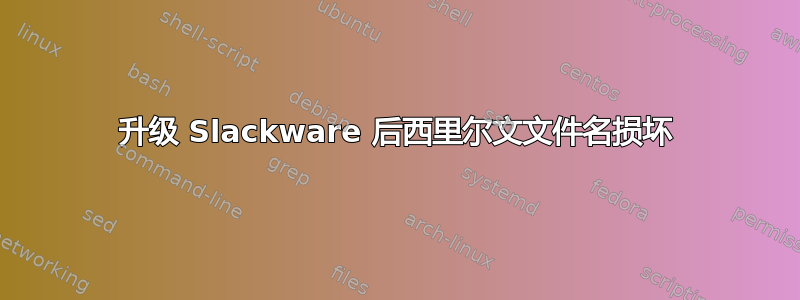 升级 Slackware 后西里尔文文件名损坏