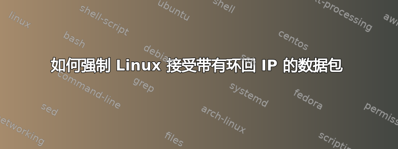 如何强制 Linux 接受带有环回 IP 的数据包