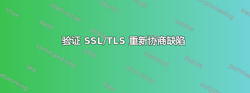 验证 SSL/TLS 重新协商缺陷