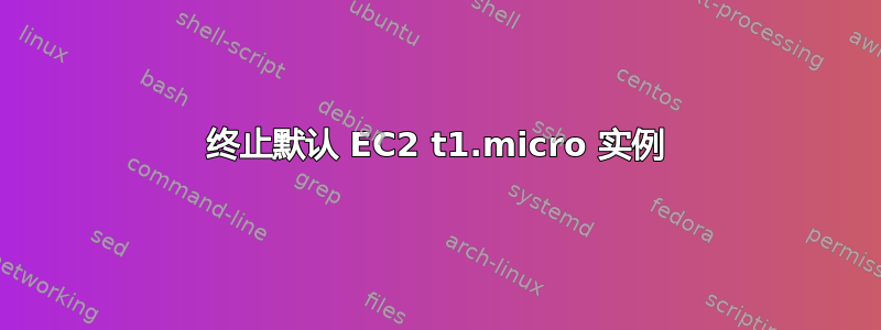 终止默认 EC2 t1.micro 实例