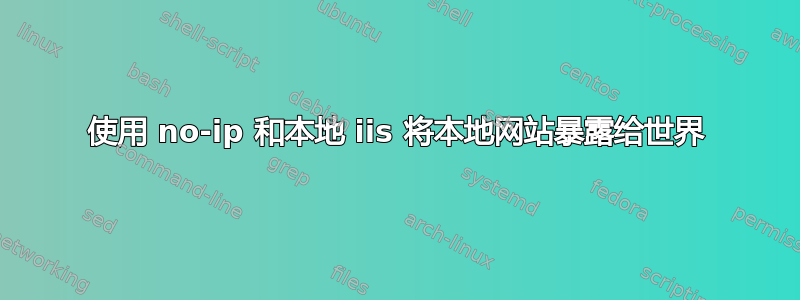 使用 no-ip 和本地 iis 将本地网站暴露给世界