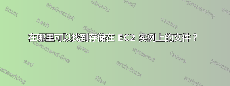 在哪里可以找到存储在 EC2 实例上的文件？