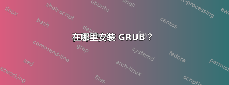 在哪里安装 GRUB？