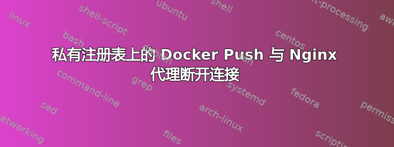 私有注册表上的 Docker Push 与 Nginx 代理断开连接