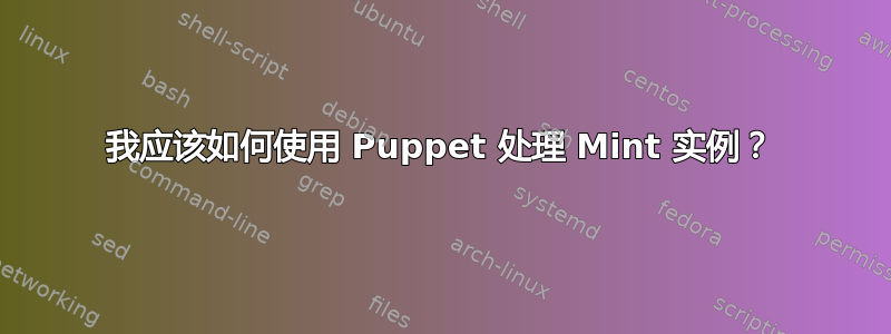 我应该如何使用 Puppet 处理 Mint 实例？