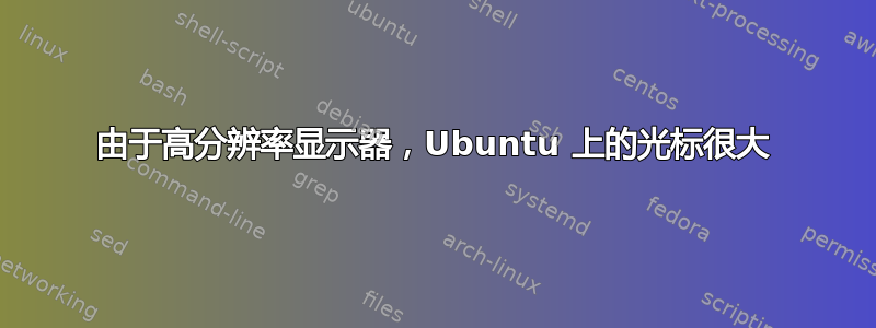 由于高分辨率显示器，Ubuntu 上的光标很大