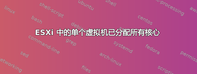 ESXi 中的单个虚拟机已分配所有核心