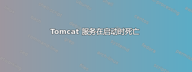 Tomcat 服务在启动时死亡