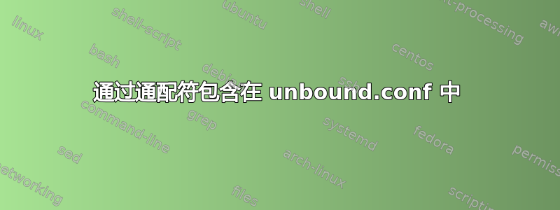 通过通配符包含在 unbound.conf 中