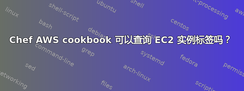 Chef AWS cookbook 可以查询 EC2 实例标签吗？