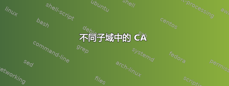 不同子域中的 CA