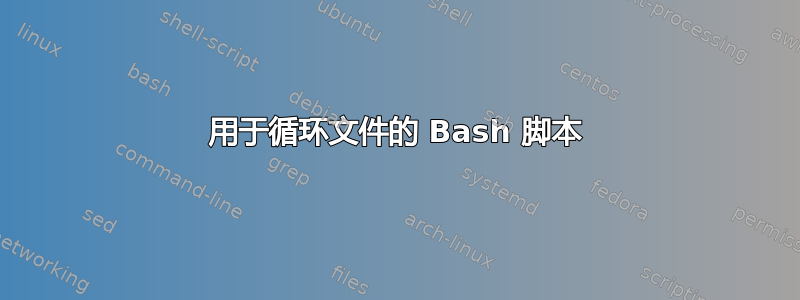 用于循环文件的 Bash 脚本