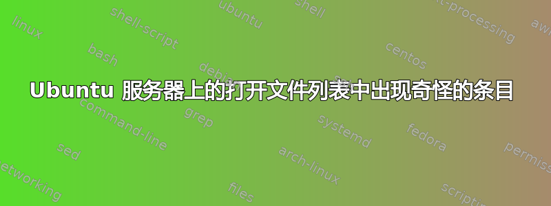 Ubuntu 服务器上的打开文件列表中出现奇怪的条目