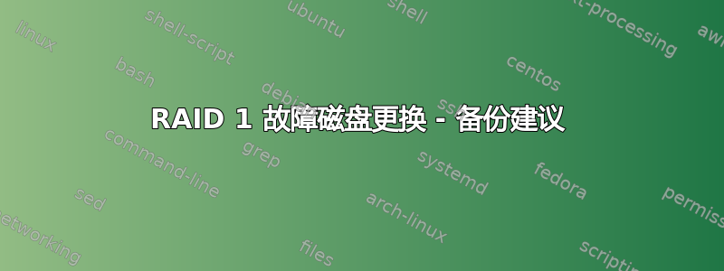 RAID 1 故障磁盘更换 - 备份建议