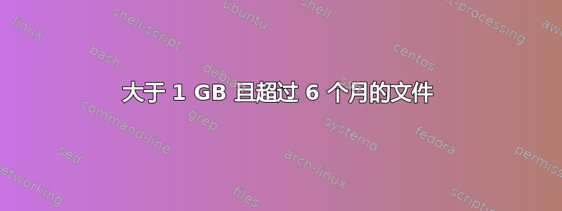 大于 1 GB 且超过 6 个月的文件