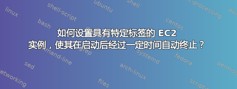 如何设置具有特定标签的 EC2 实例，使其在启动后经过一定时间自动终止？