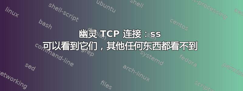 幽灵 TCP 连接：ss 可以看到它们，其他任何东西都看不到