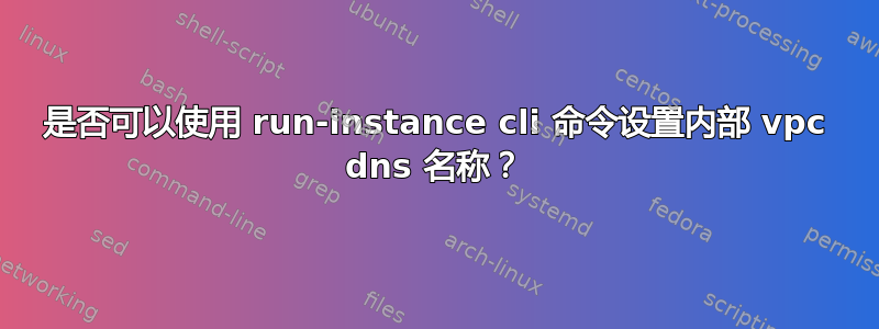 是否可以使用 run-instance cli 命令设置内部 vpc dns 名称？