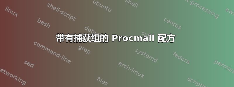 带有捕获组的 Procmail 配方