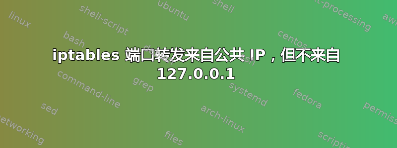 iptables 端口转发来自公共 IP，但不来自 127.0.0.1