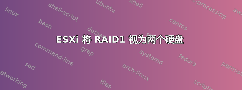 ESXi 将 RAID1 视为两个硬盘