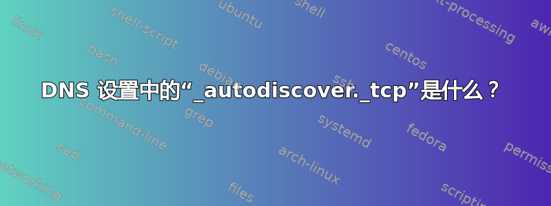 DNS 设置中的“_autodiscover._tcp”是什么？