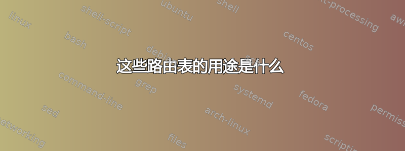 这些路由表的用途是什么