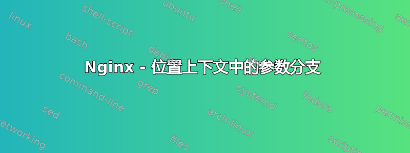 Nginx - 位置上下文中的参数分支