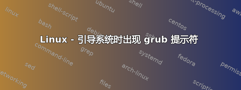 Linux - 引导系统时出现 grub 提示符