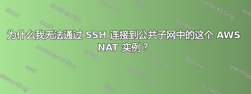 为什么我无法通过 SSH 连接到公共子网中的这个 AWS NAT 实例？