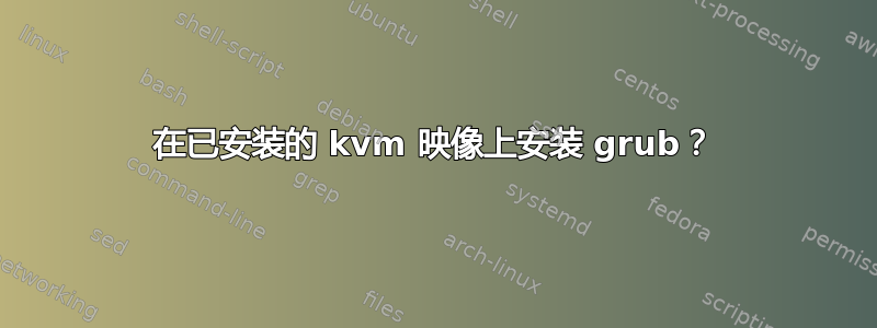 在已安装的 kvm 映像上安装 grub？