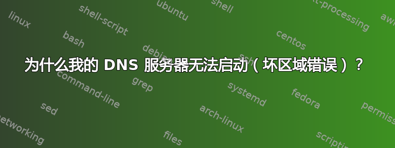 为什么我的 DNS 服务器无法启动（坏区域错误）？