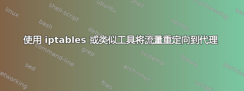 使用 iptables 或类似工具将流量重定向到代理