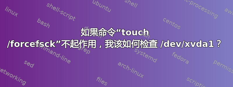 如果命令“touch /forcefsck”不起作用，我该如何检查 /dev/xvda1？