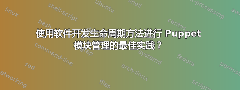 使用软件开发生命周期方法进行 Puppet 模块管理的最佳实践？